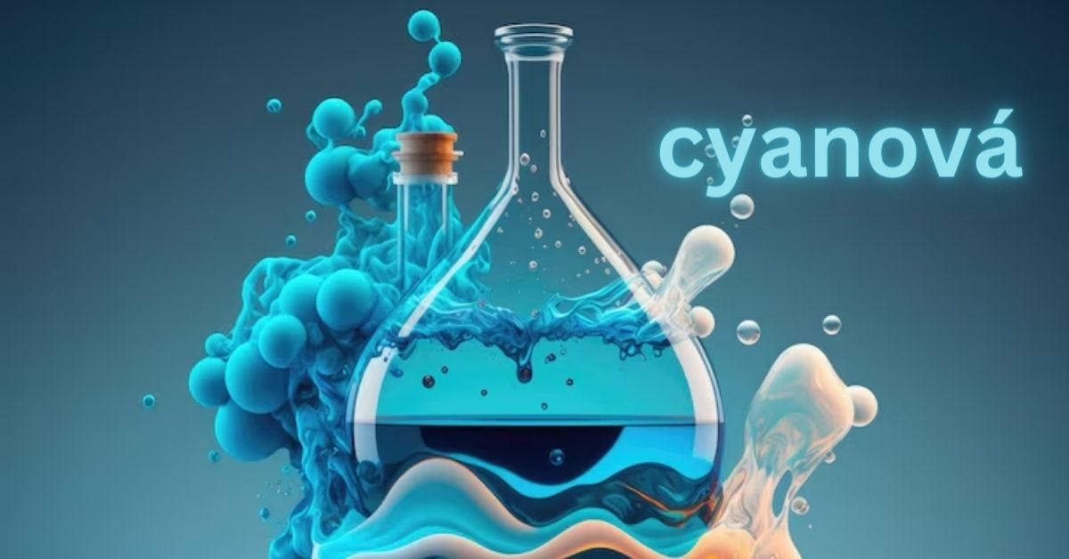 Cyanová: Enhancing Visual Experience Across Industries