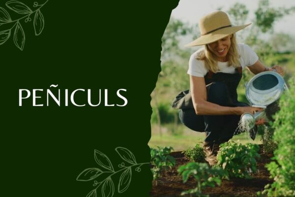 Peñiculs: A Revolutionary Approach to Health