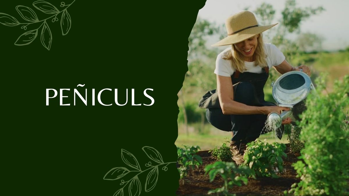 Peñiculs: A Revolutionary Approach to Health