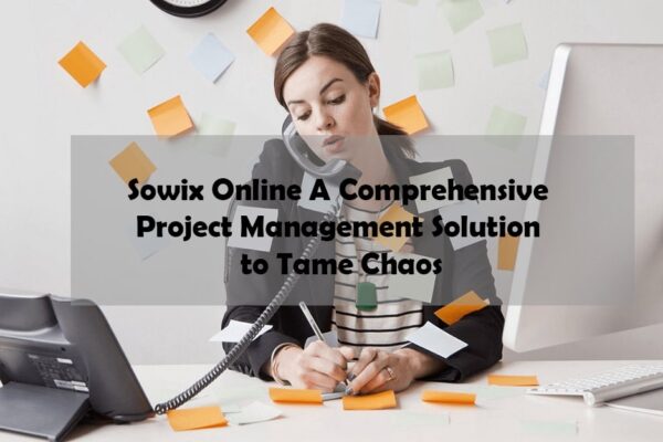 Sowix Online: Taming the Project Management Chaos