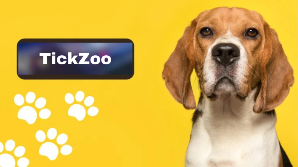 Tickzoo: The Ultimate Adventure and Debate Platform