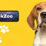 Tickzoo: The Ultimate Adventure and Debate Platform