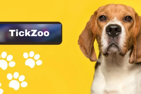 Tickzoo: The Ultimate Adventure and Debate Platform