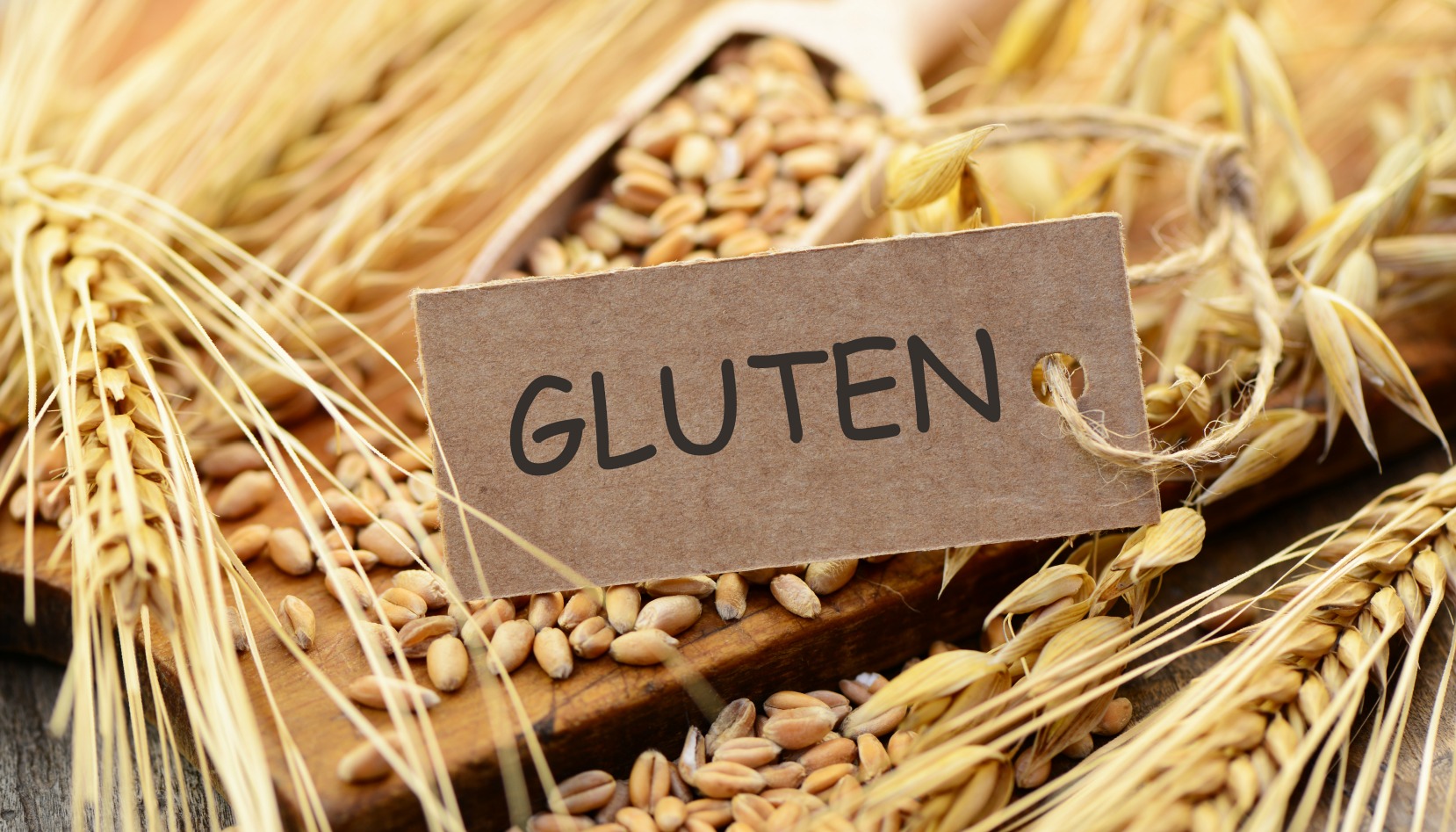 The Complete Guide to Gluten: Embracing or Avoiding in Your Daily Diet