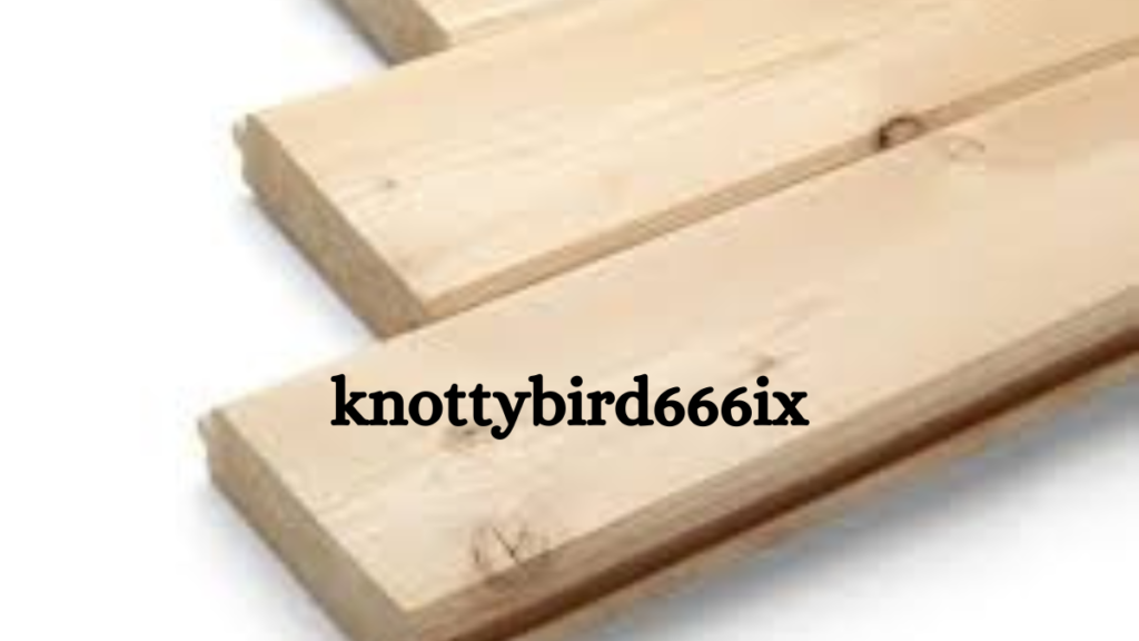 KnottyBird666ix: Origins and Mysterious Beginnings