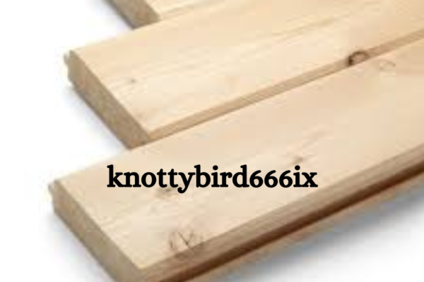 KnottyBird666ix: Origins and Mysterious Beginnings