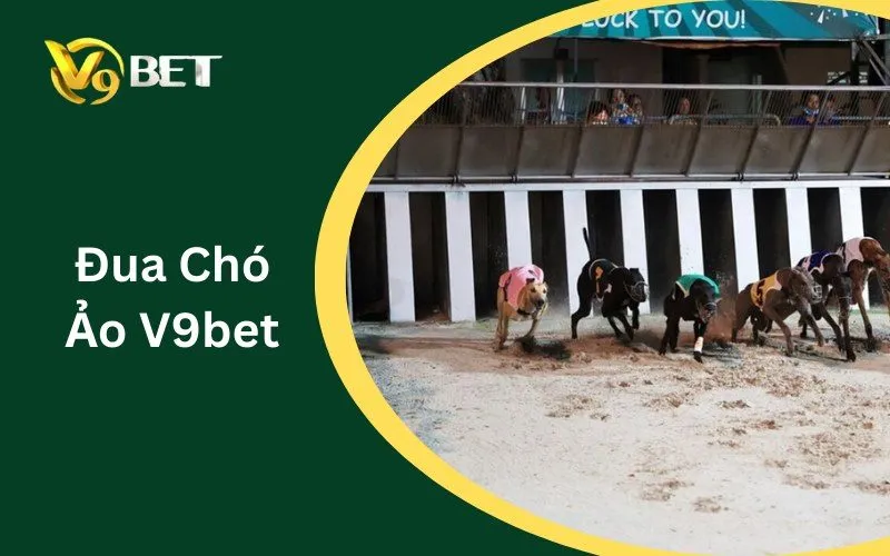 Đua Chó Ảo V9BET: Tìm Hiểu Về Cách Thức Hoạt Động